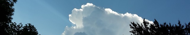pano gris